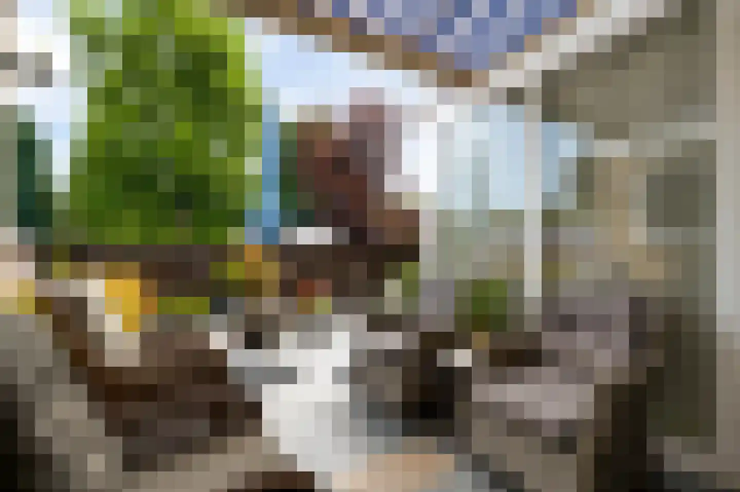 Schaapsweg 2 a Herkenbosch thumbnail 22