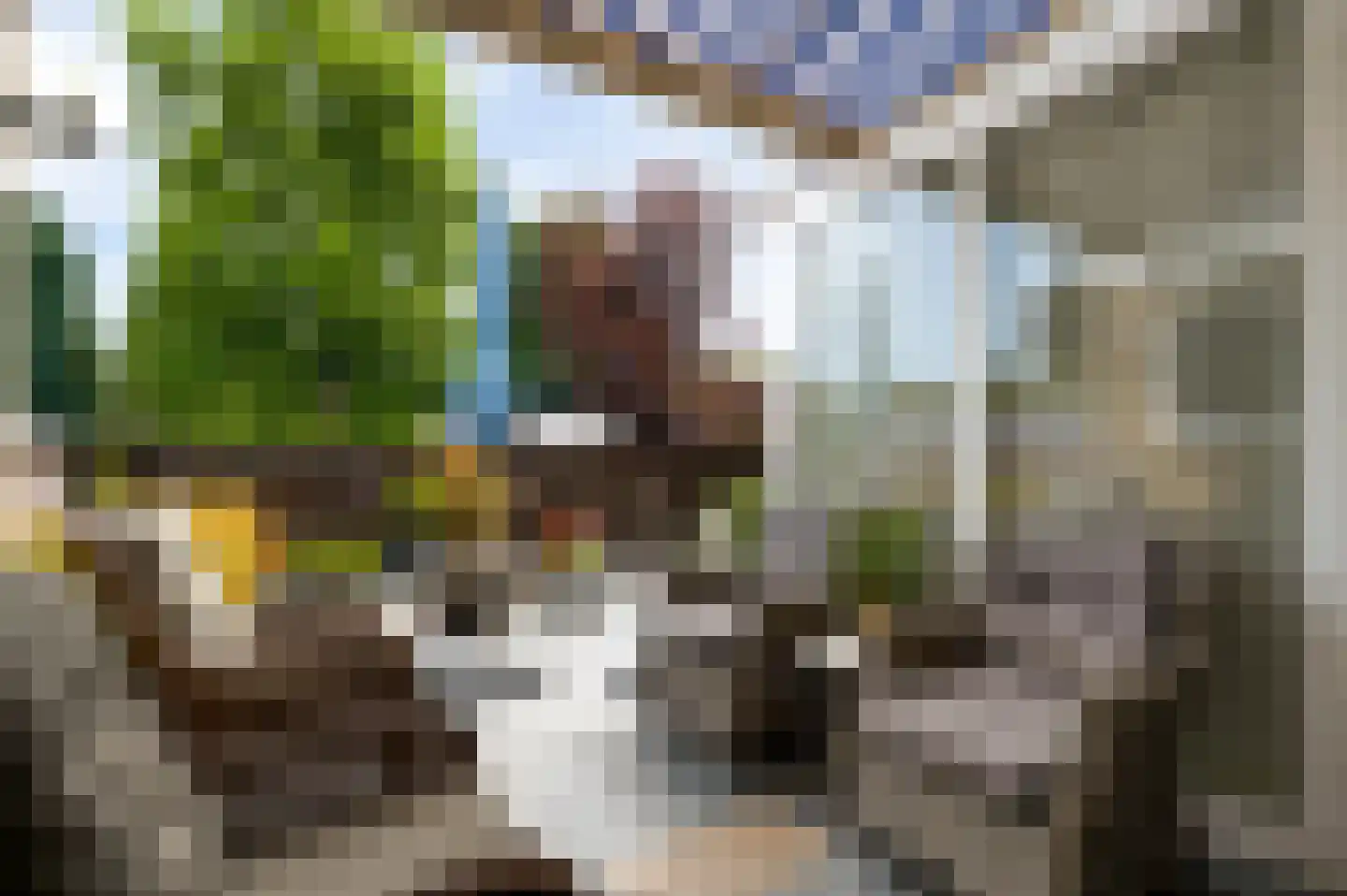 Schaapsweg 2 a Herkenbosch thumbnail 25