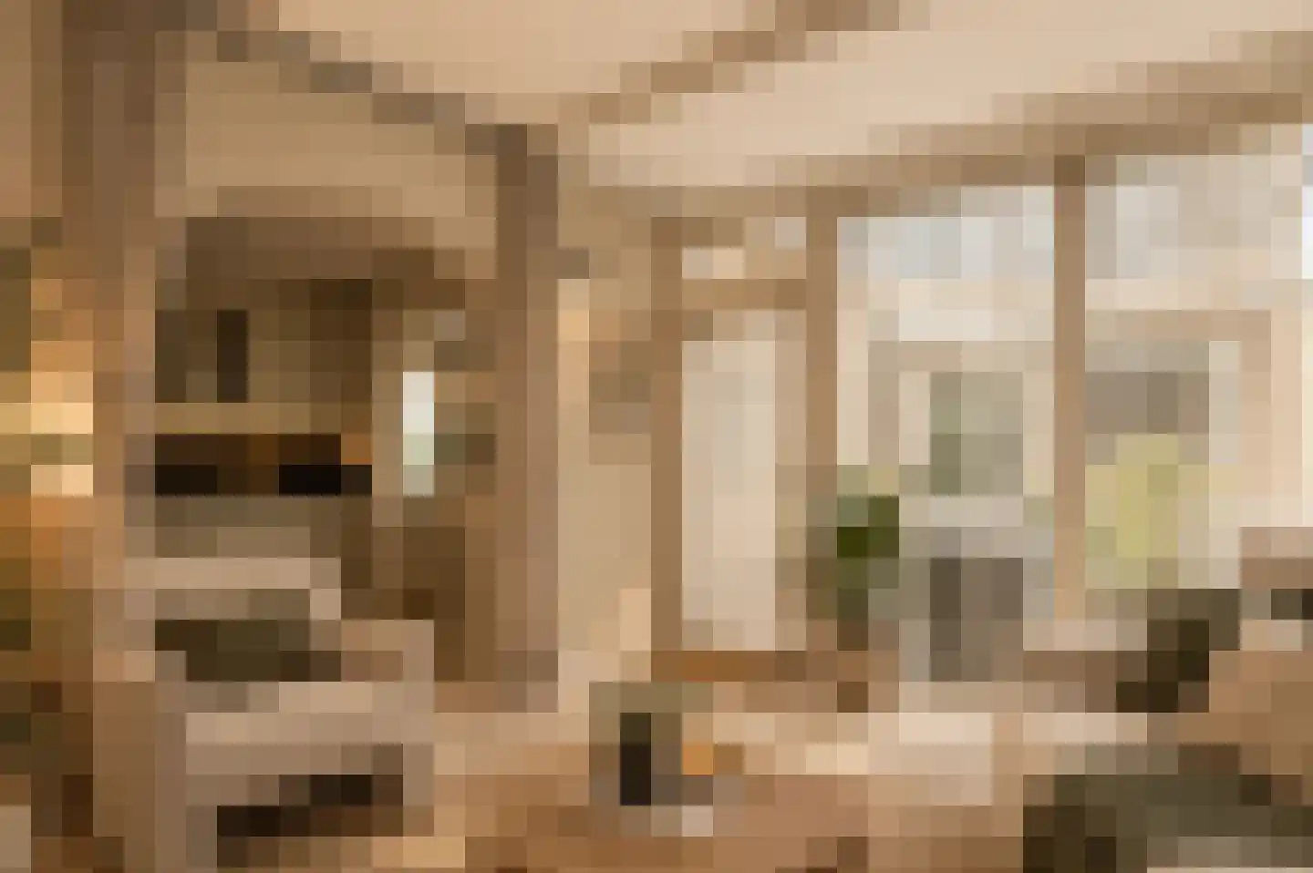 Schaapsweg 2 a Herkenbosch foto 3