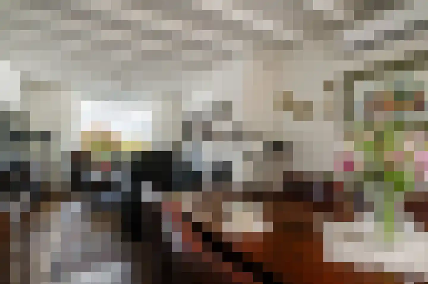 Schaapsweg 2 a Herkenbosch thumbnail 8