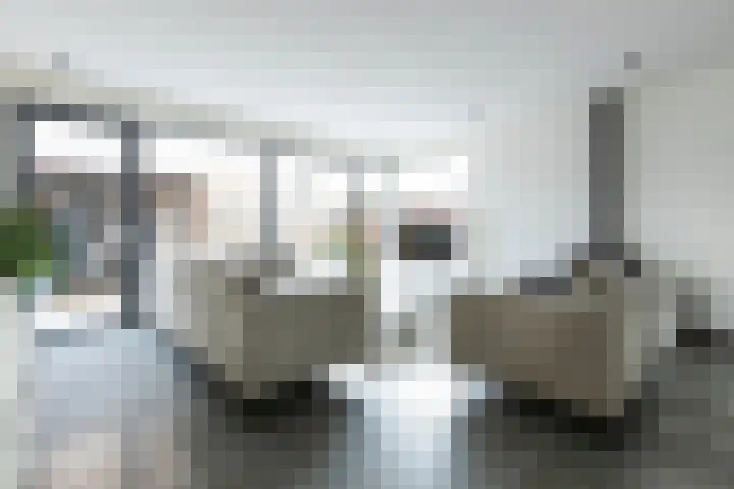 Schaapsweg 20 Ede thumbnail 14
