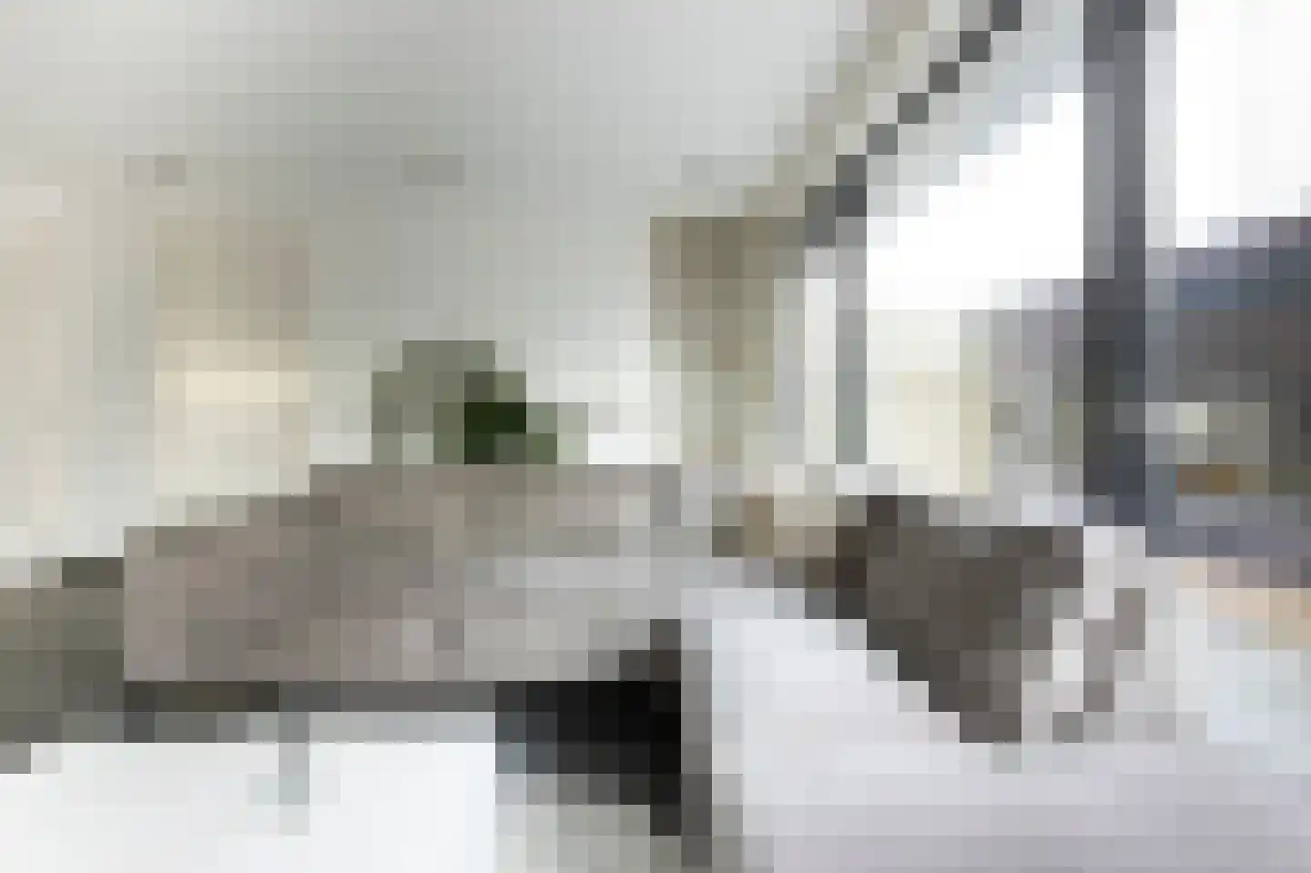 Schaapsweg 20 Ede thumbnail 15