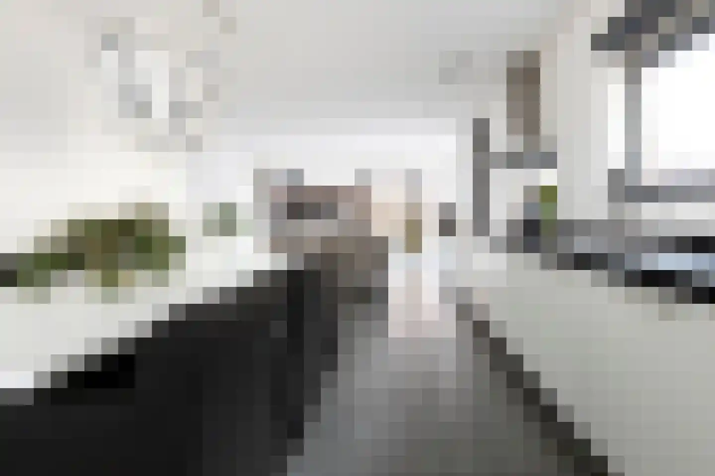 Schaapsweg 20 Ede thumbnail 20