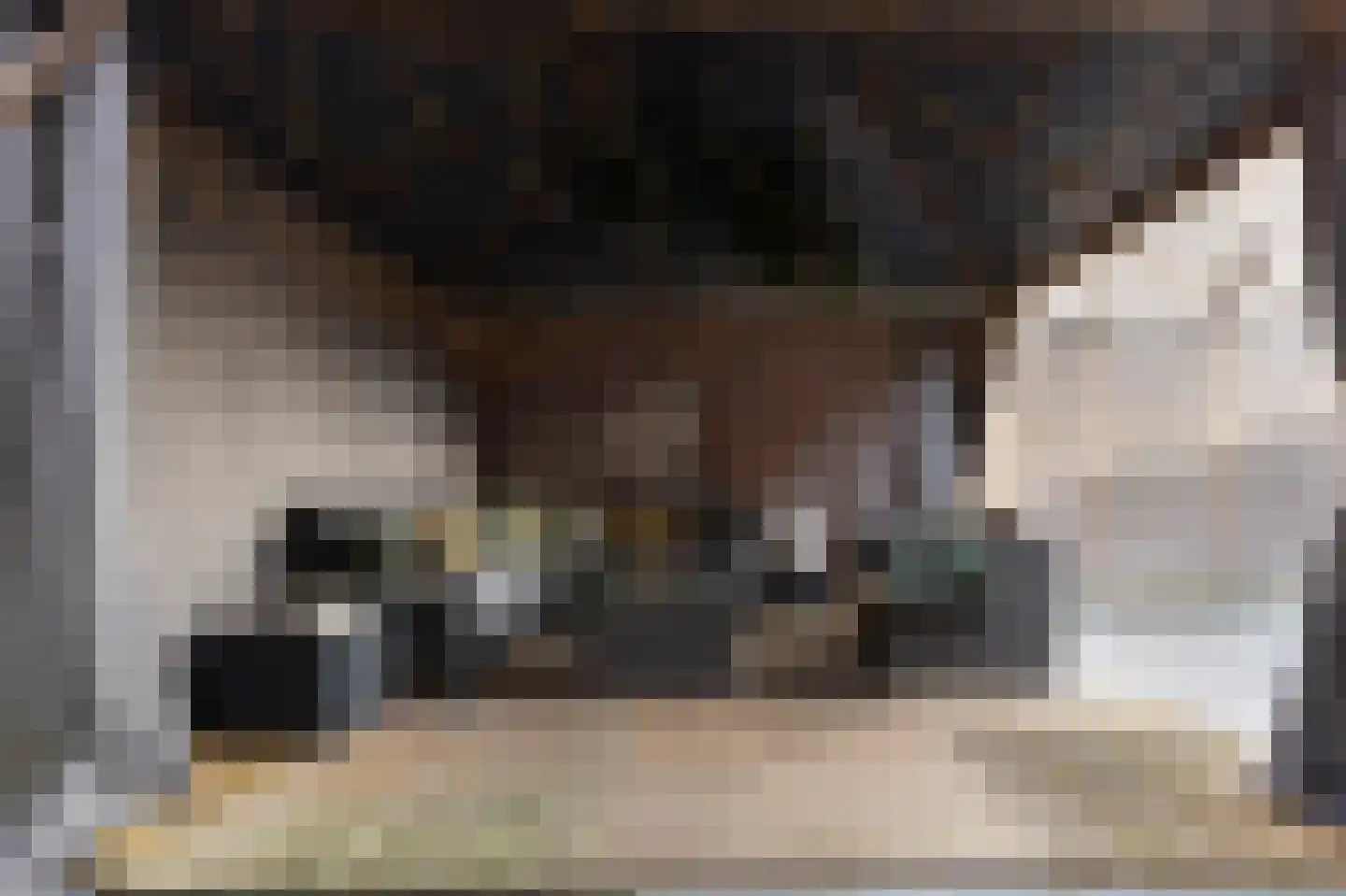 Schaapsweg 20 Ede thumbnail 24