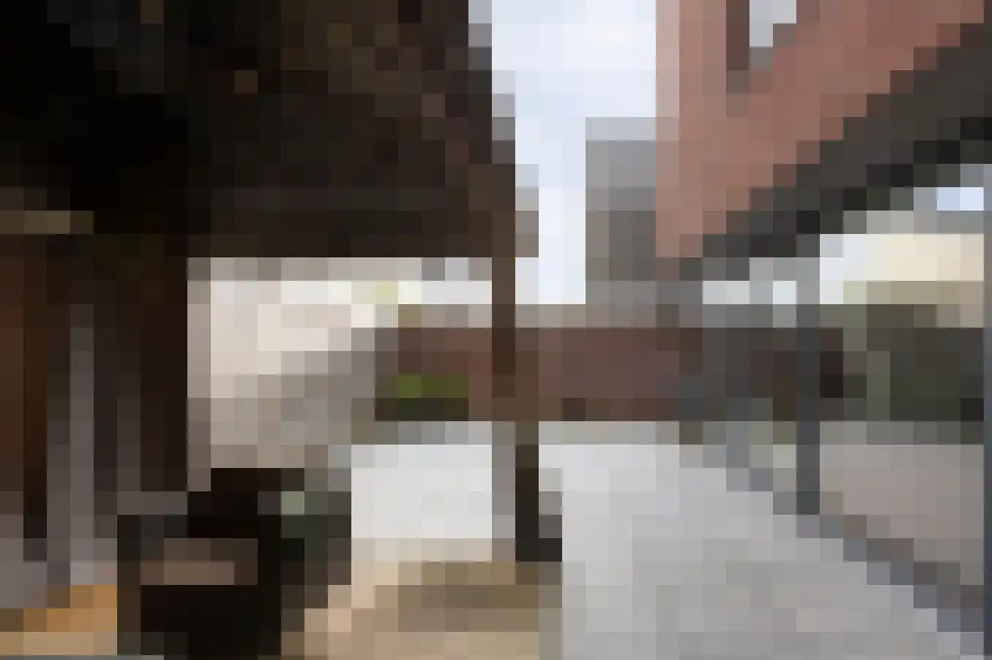 Schaapsweg 20 Ede thumbnail 25