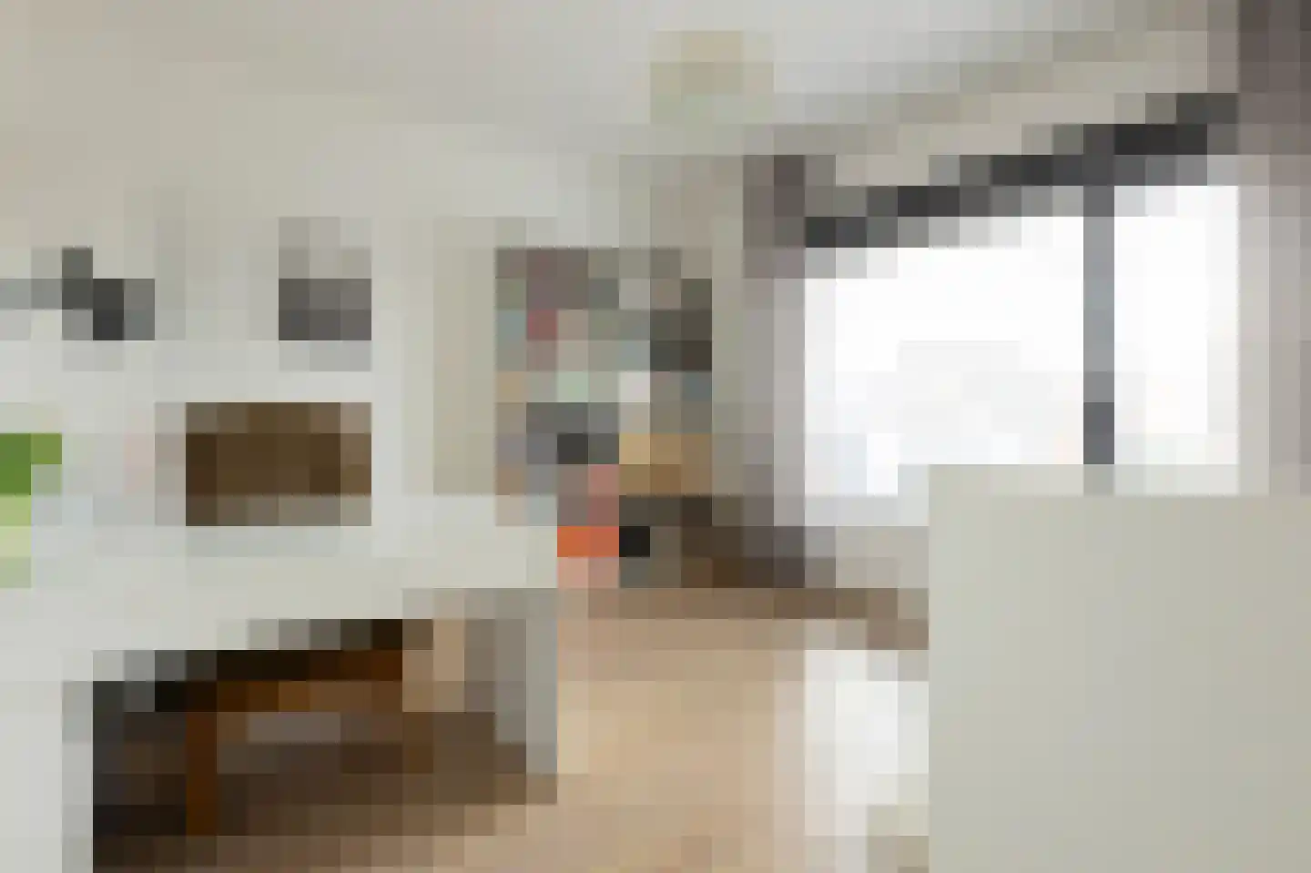 Schaapsweg 20 Ede thumbnail 33