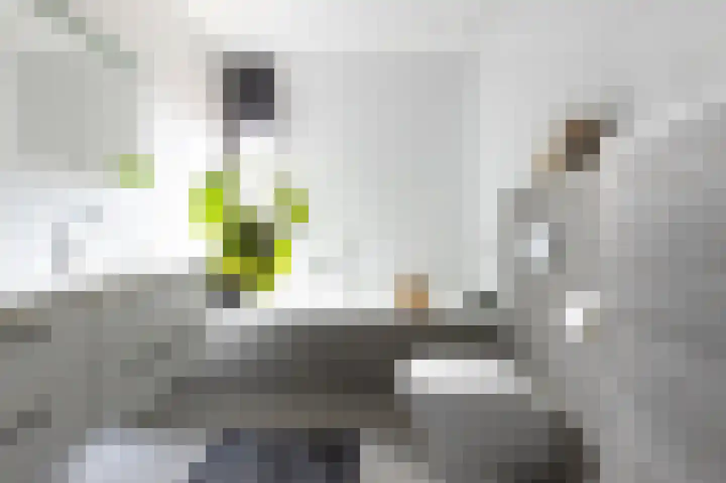 Schaapsweg 20 Ede thumbnail 36