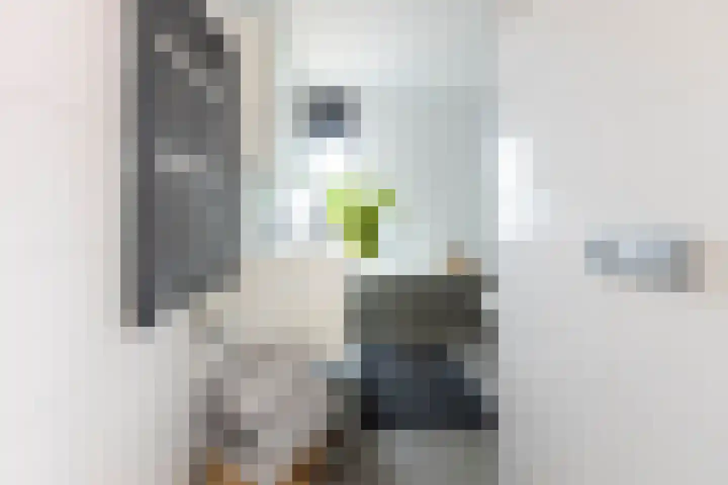 Schaapsweg 20 Ede thumbnail 39