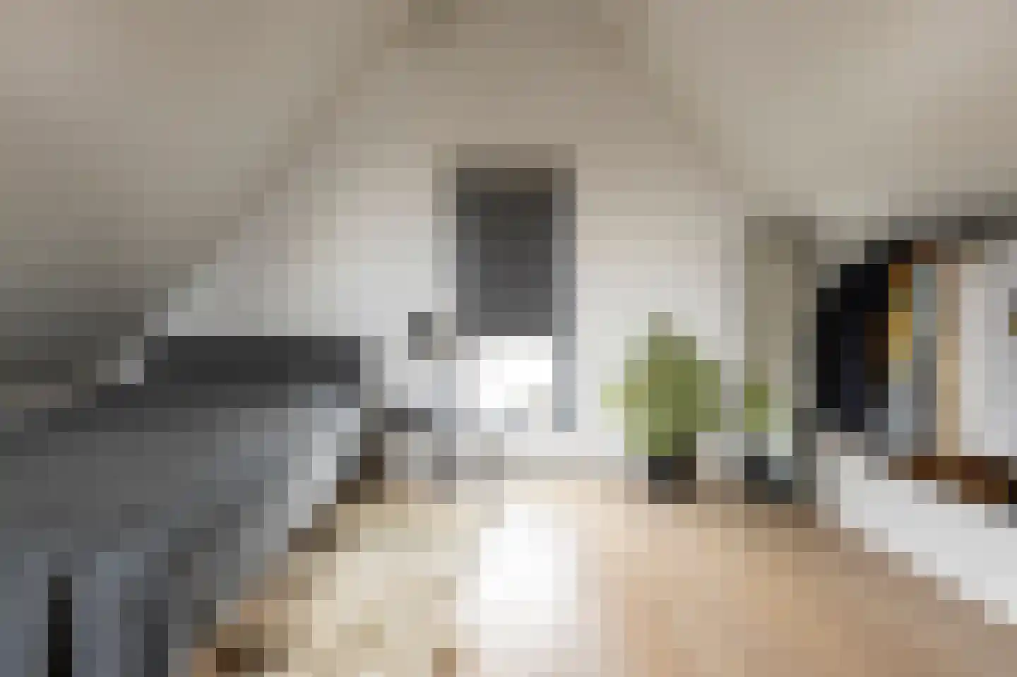 Schaapsweg 20 Ede thumbnail 42