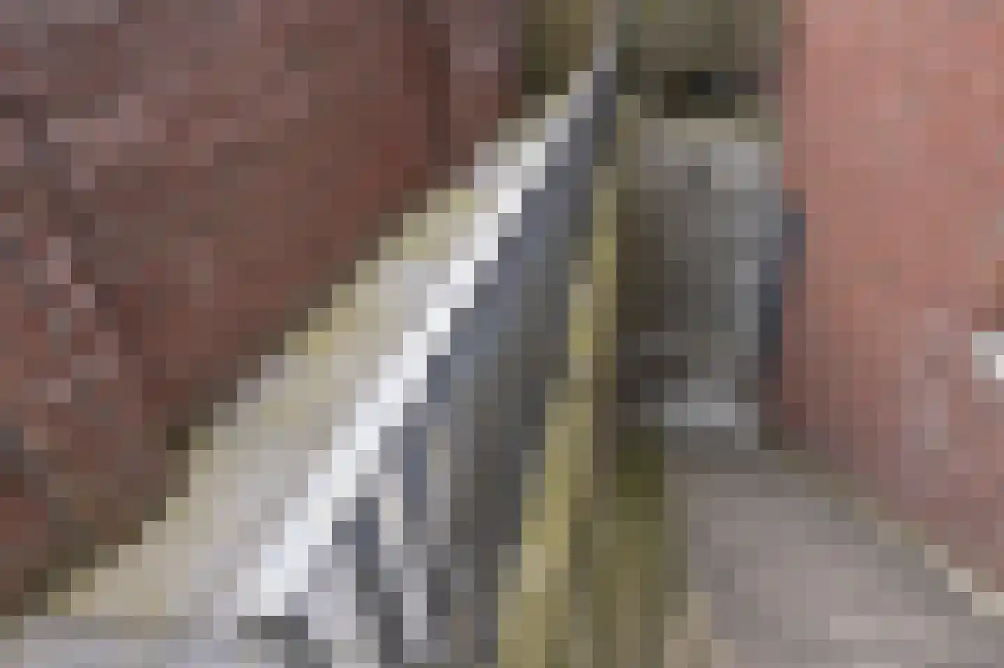 Schaapsweg 20 Ede thumbnail 48