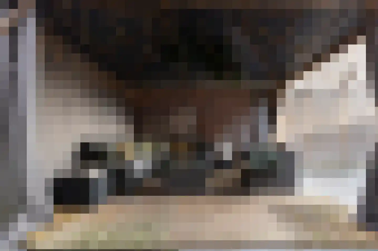 Schaapsweg 20 Ede thumbnail 5