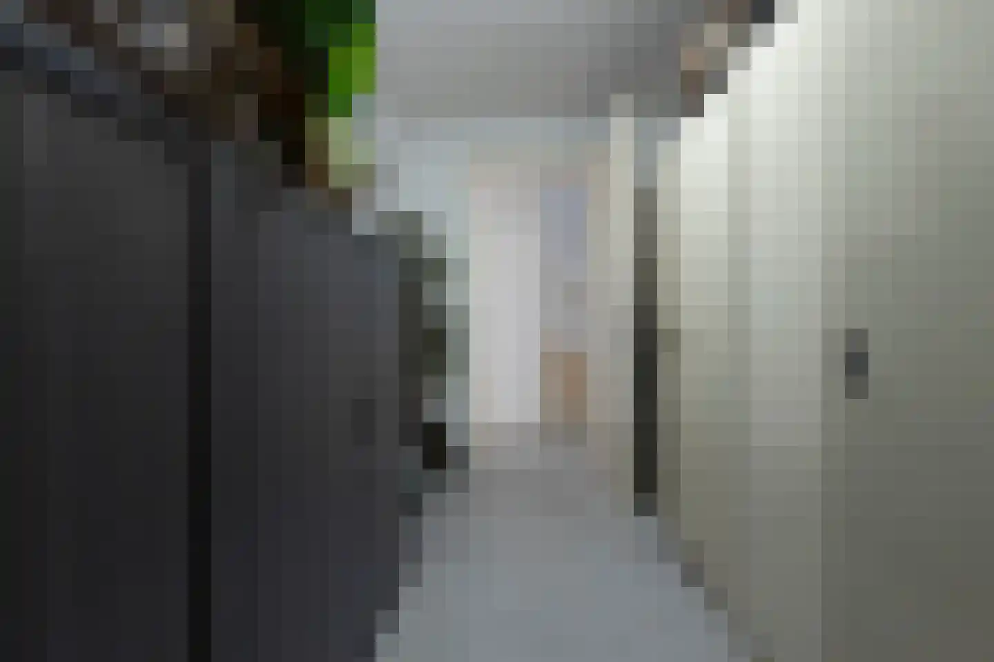 Schaapsweg 20 Ede thumbnail 51