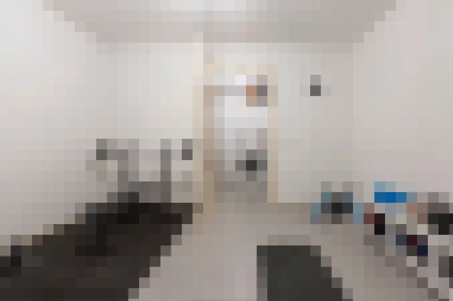 Schaapsweg 20 Ede thumbnail 55