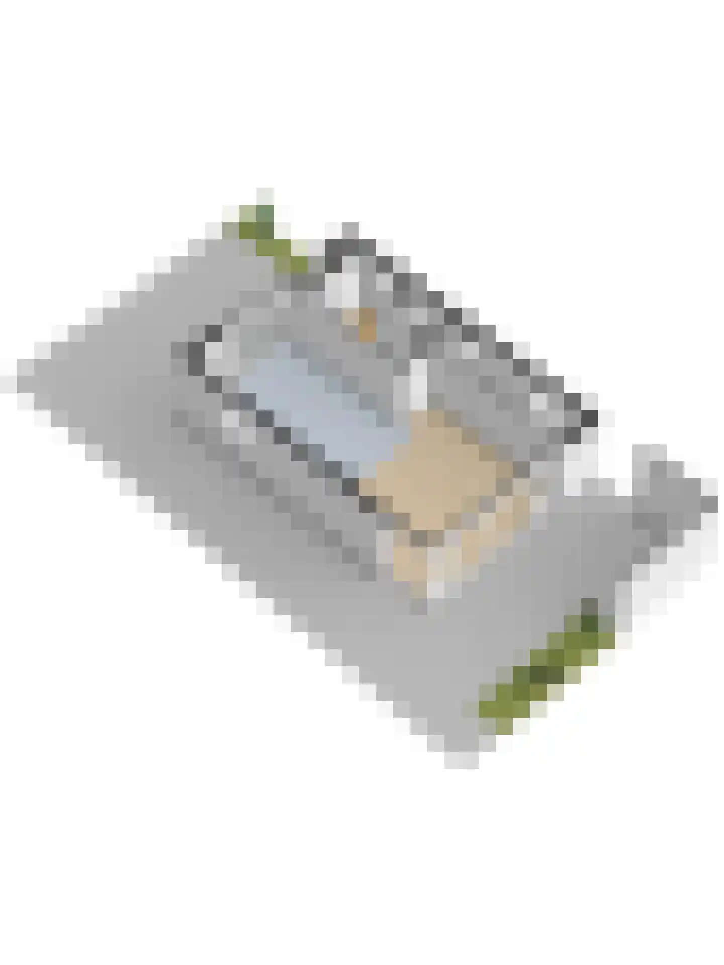Schaapsweg 20 Ede thumbnail 69