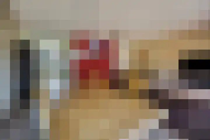 Schaapsweg 31 Ede thumbnail 10