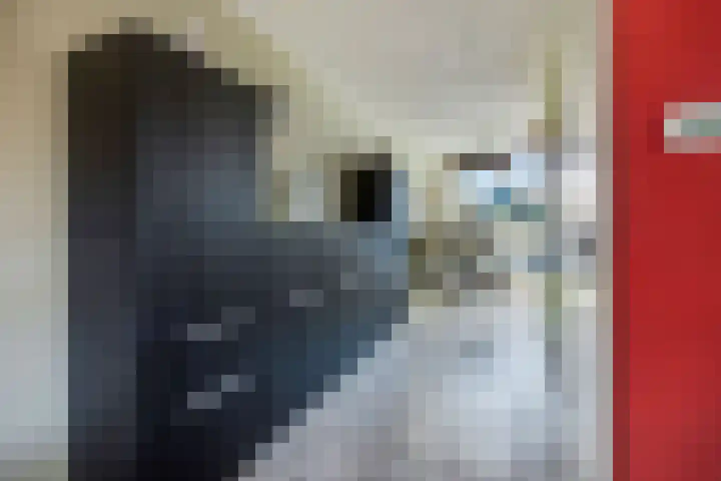 Schaapsweg 31 Ede thumbnail 11