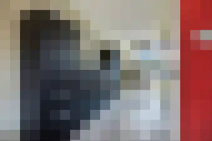 Schaapsweg 31 Ede thumbnail 11