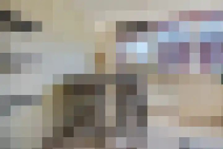 Schaapsweg 31 Ede thumbnail 12