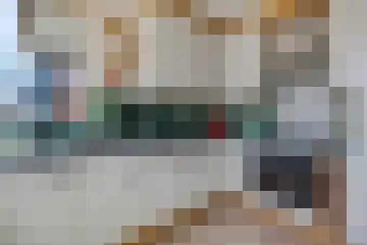 Schaapsweg 31 Ede thumbnail 15
