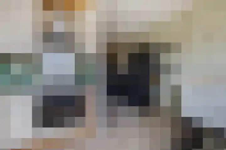 Schaapsweg 31 Ede thumbnail 16