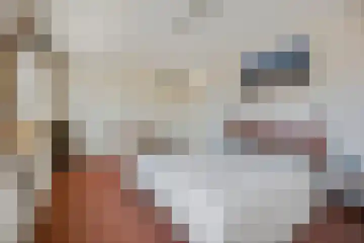 Schaapsweg 31 Ede thumbnail 18