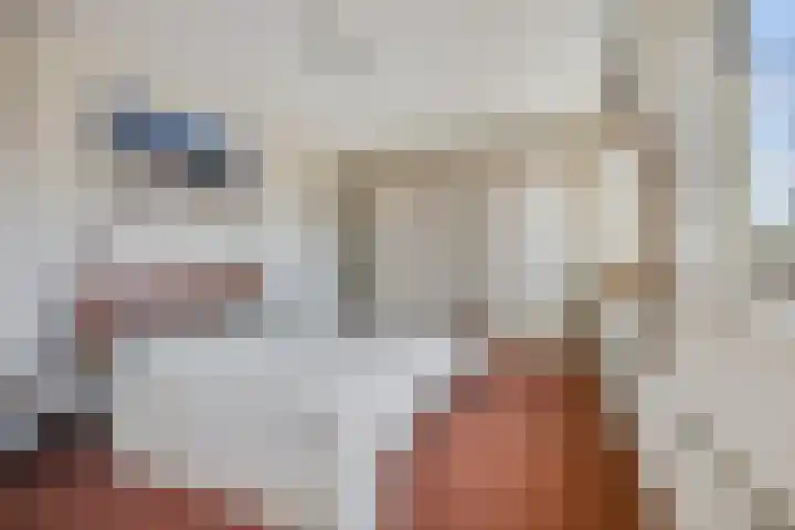 Schaapsweg 31 Ede thumbnail 19