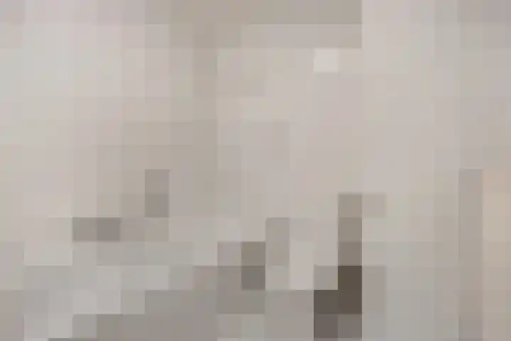 Schaapsweg 31 Ede thumbnail 22
