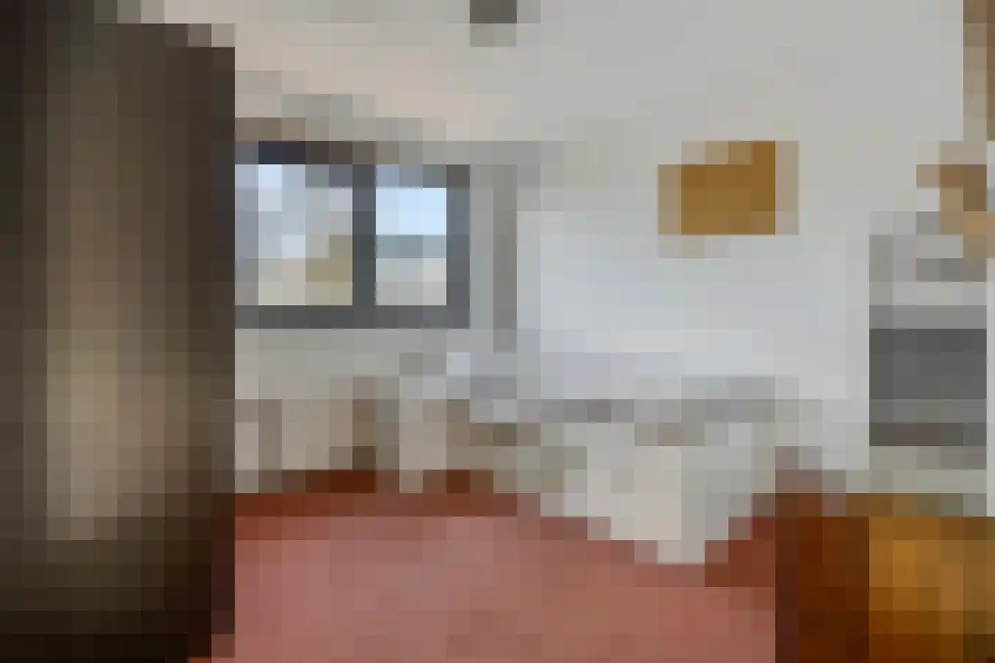 Schaapsweg 31 Ede thumbnail 24