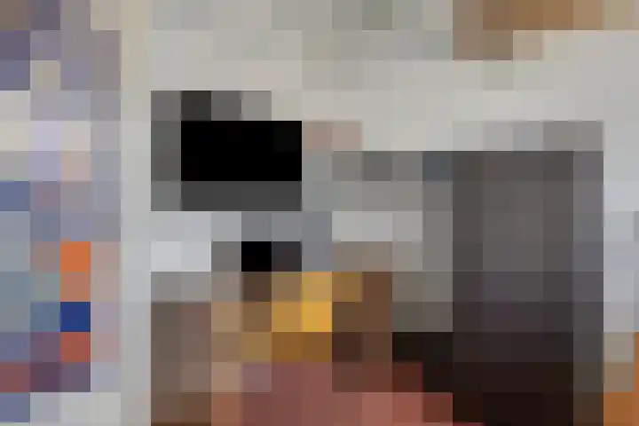 Schaapsweg 31 Ede thumbnail 28
