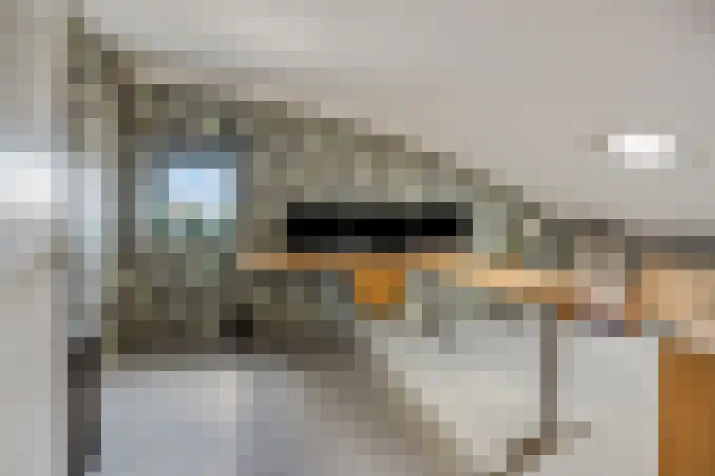 Schaapsweg 31 Ede thumbnail 29