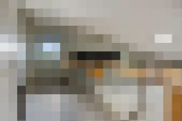 Schaapsweg 31 Ede thumbnail 29
