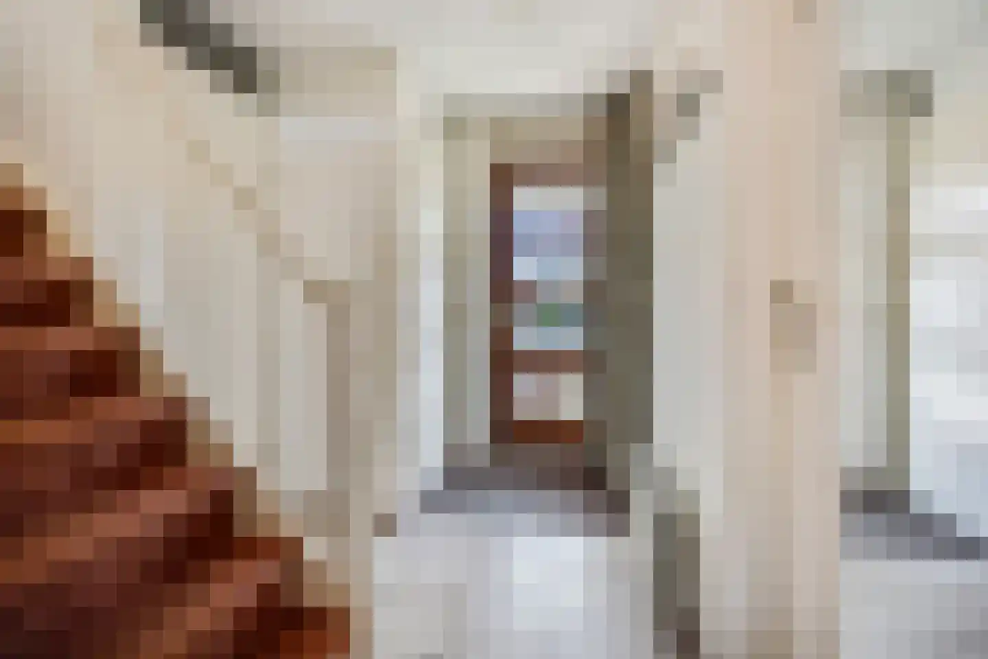 Schaapsweg 31 Ede foto 3