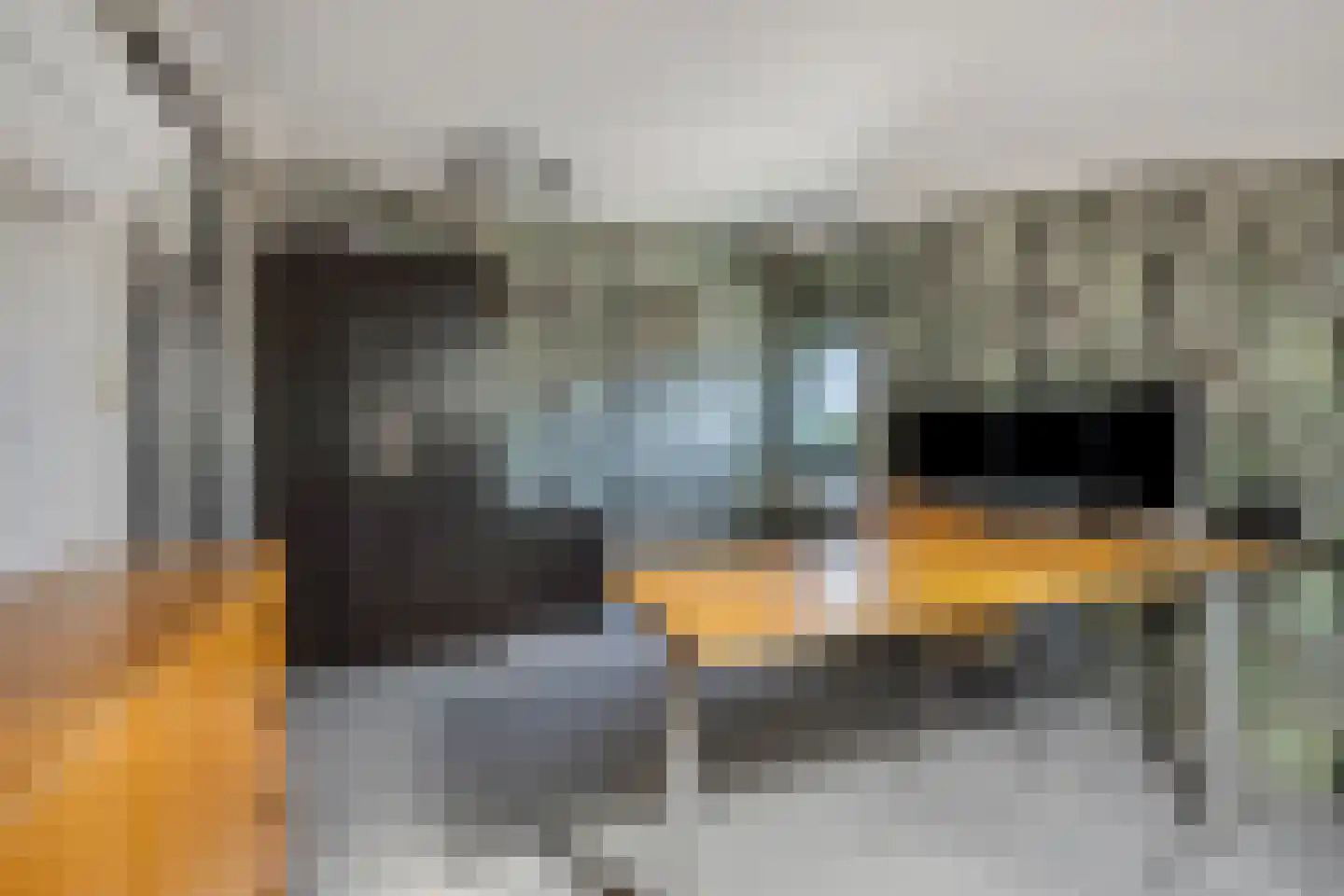 Schaapsweg 31 Ede thumbnail 30