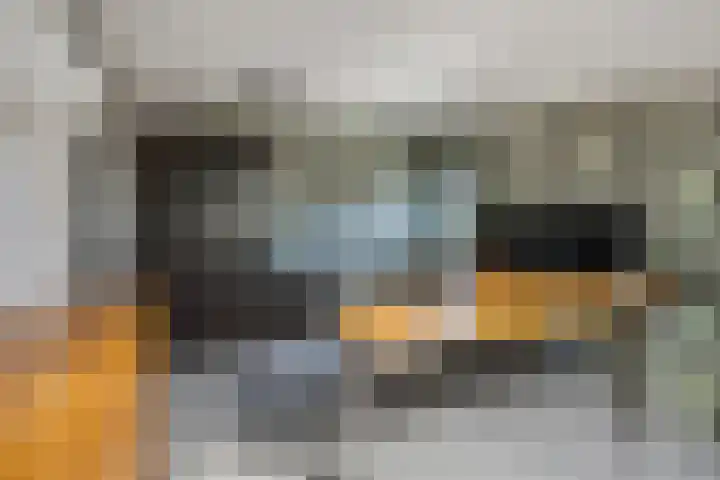 Schaapsweg 31 Ede thumbnail 30