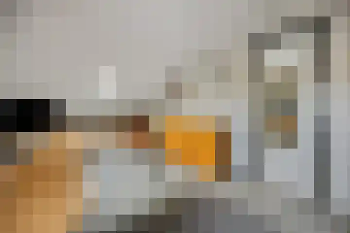 Schaapsweg 31 Ede thumbnail 33