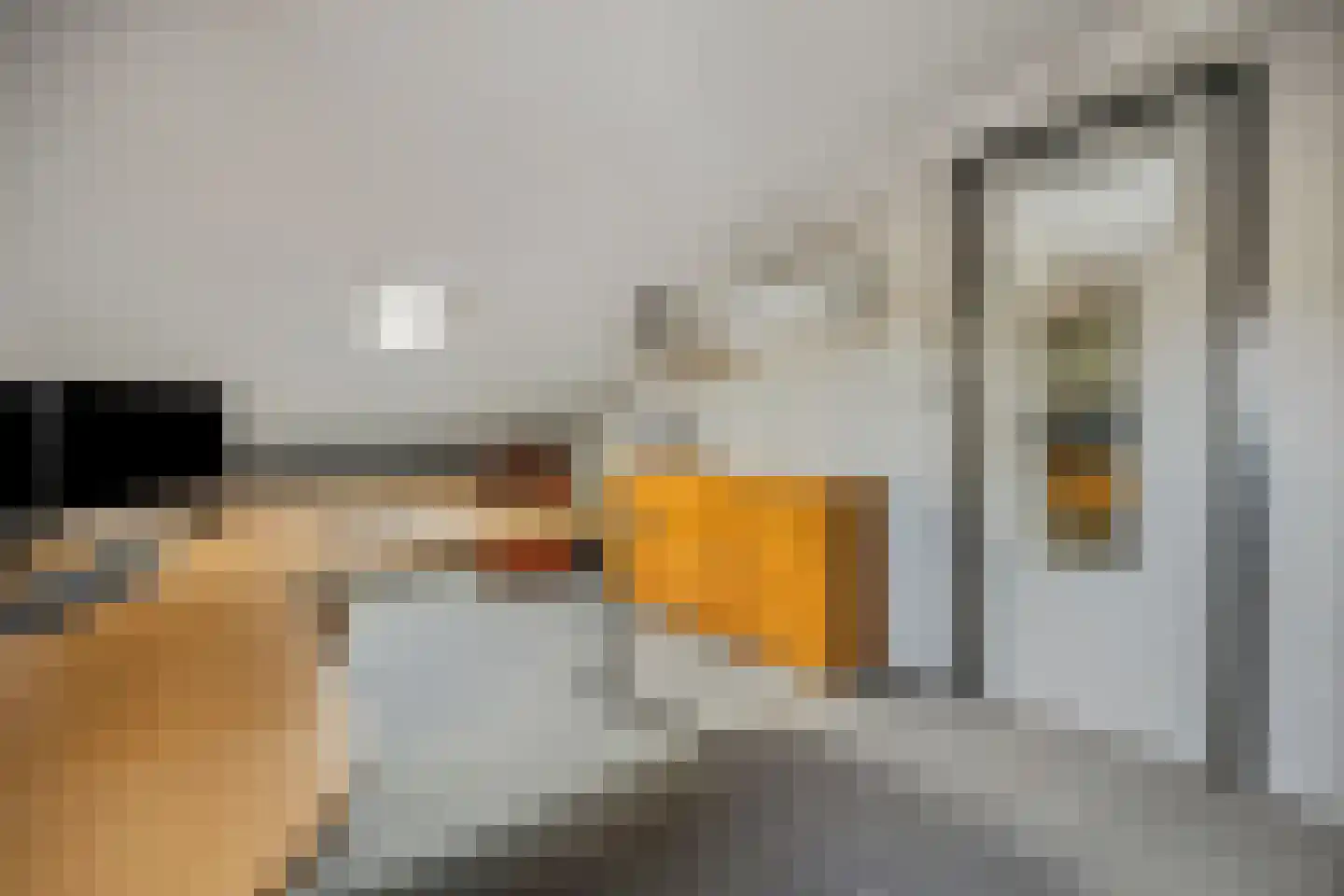 Schaapsweg 31 Ede thumbnail 33