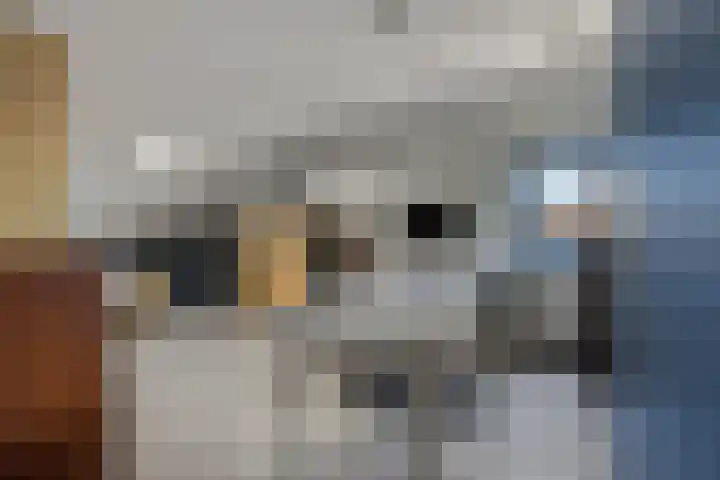 Schaapsweg 31 Ede thumbnail 34