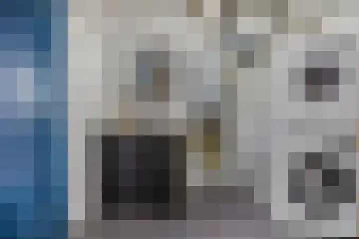 Schaapsweg 31 Ede thumbnail 37