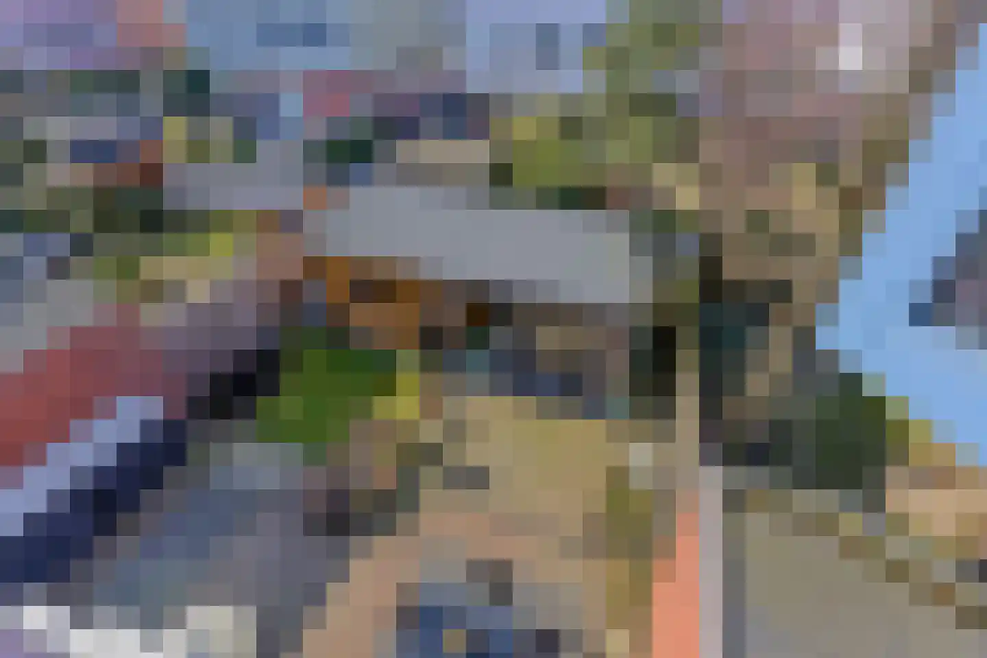 Schaapsweg 31 Ede thumbnail 39