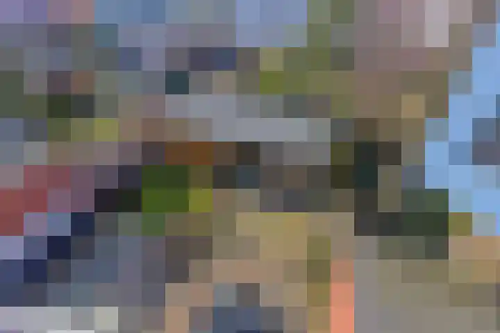 Schaapsweg 31 Ede thumbnail 39