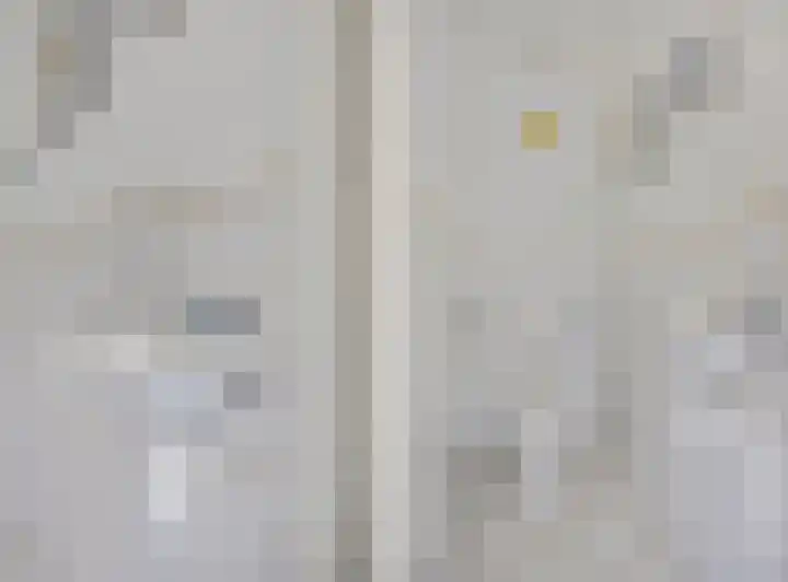 Schaapsweg 31 Ede thumbnail 4