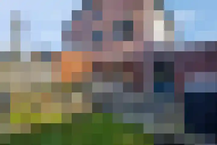 Schaapsweg 31 Ede thumbnail 43