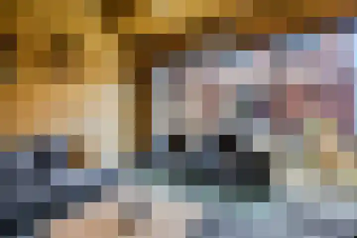 Schaapsweg 31 Ede thumbnail 46