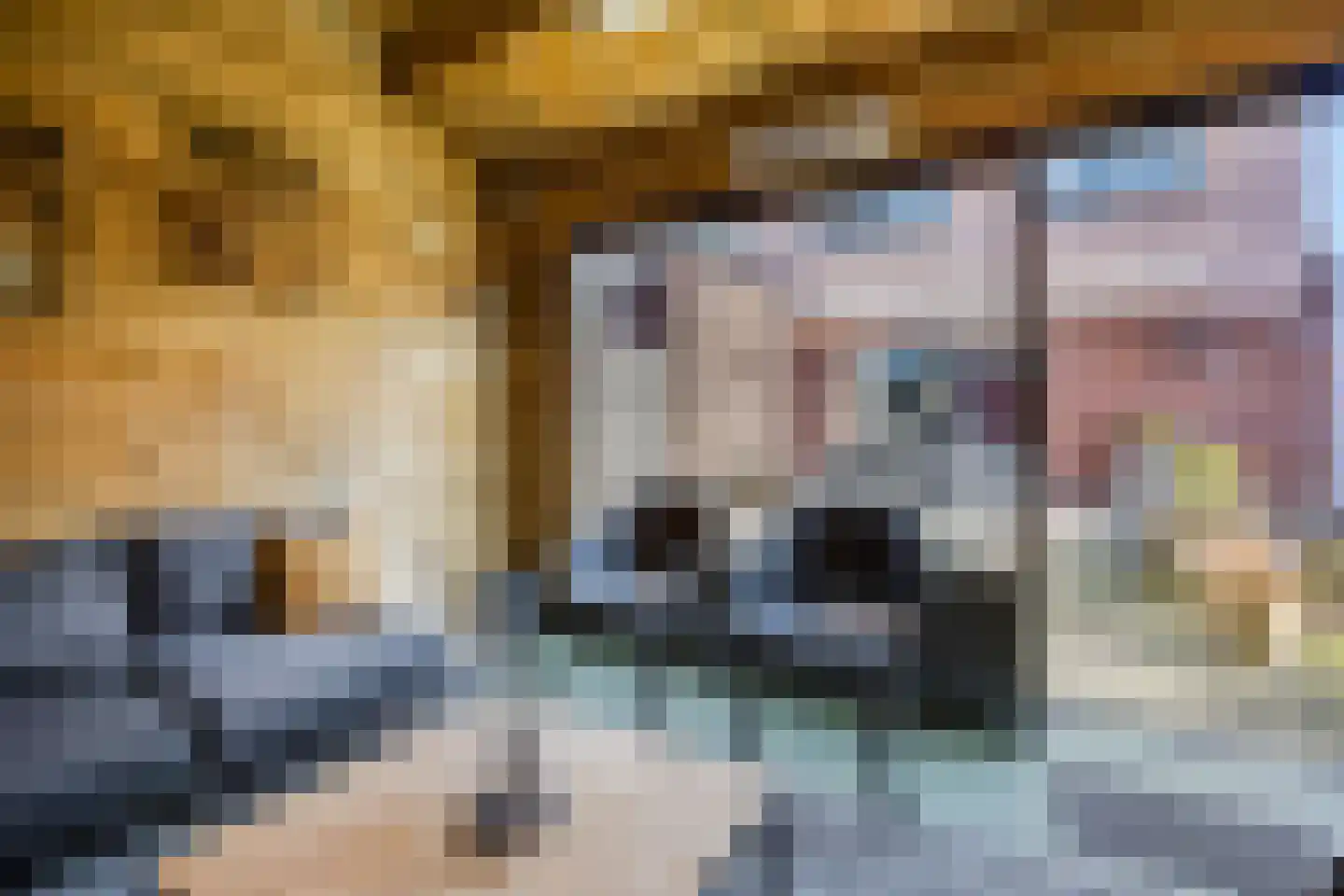 Schaapsweg 31 Ede thumbnail 46