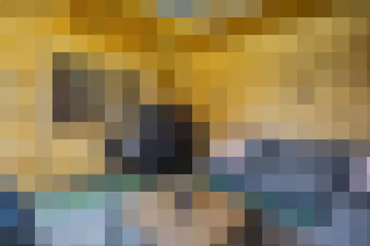 Schaapsweg 31 Ede thumbnail 47
