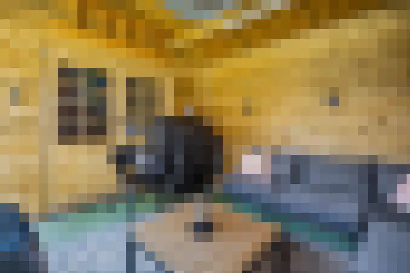 Schaapsweg 31 Ede thumbnail 47