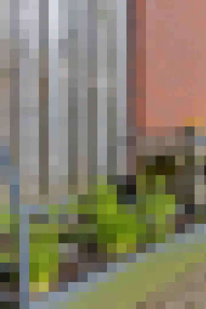 Schaapsweg 31 Ede thumbnail 48