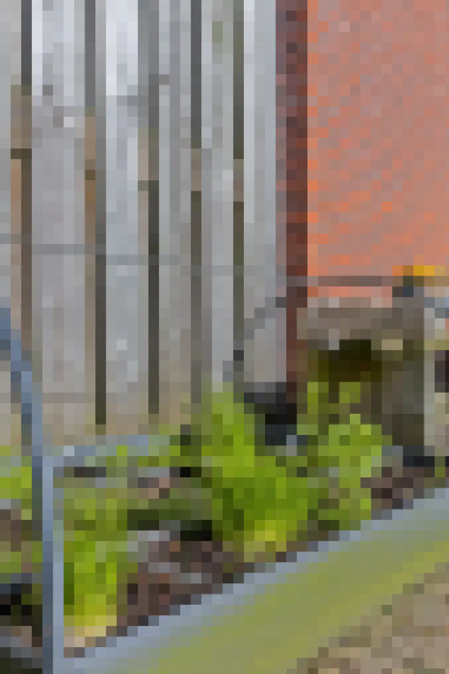 Schaapsweg 31 Ede thumbnail 48