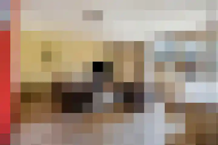 Schaapsweg 31 Ede thumbnail 5