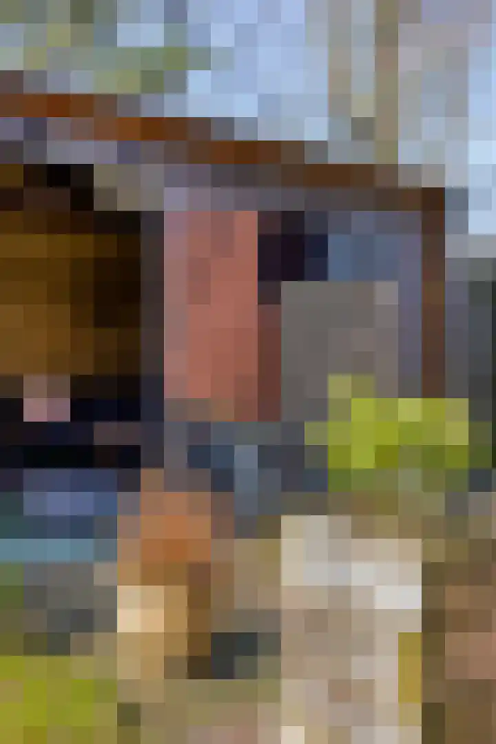 Schaapsweg 31 Ede thumbnail 50